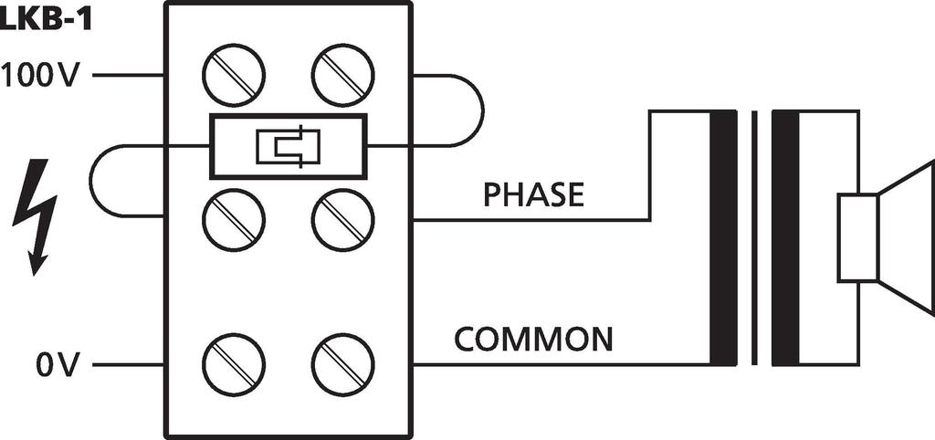 LKB-1 - Terminale Luster