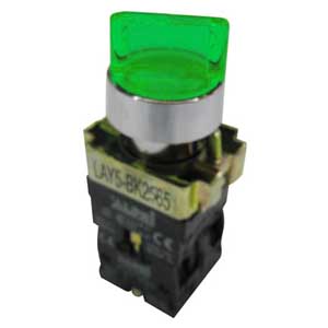Selettore Luminoso Aleva A 2 Posizioni Fisse G No+Nc AP/INT/B236-I