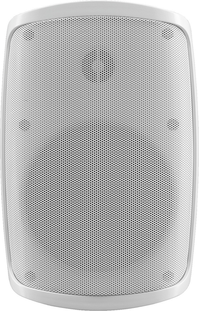 WALL-05DTM/WS - Cassa acustica Dante a 2 vie