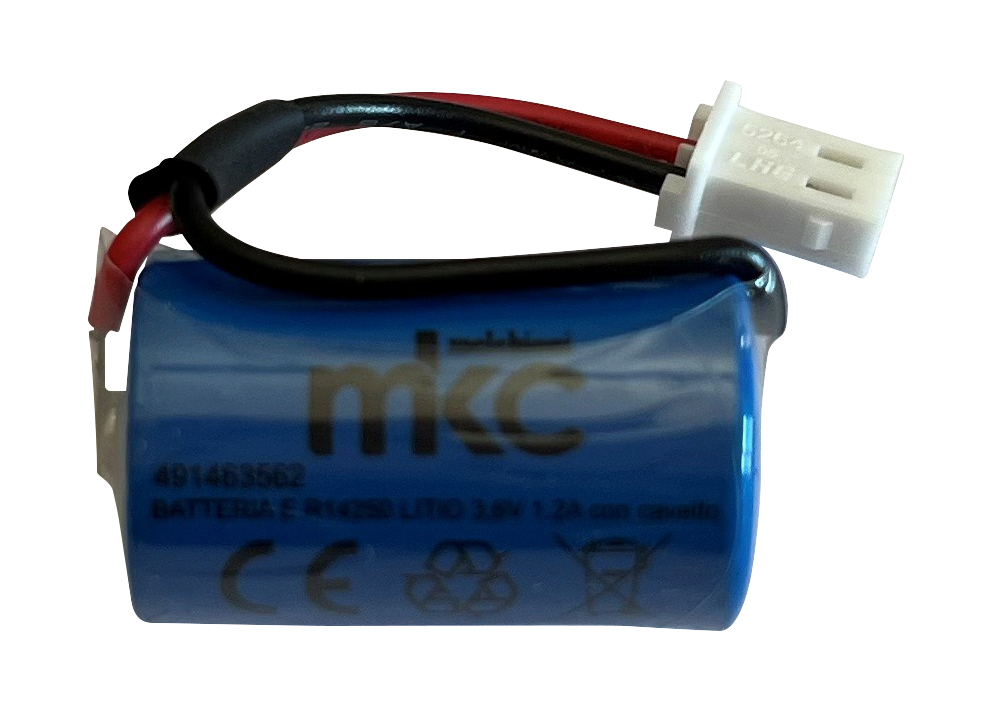 Batterie Litio