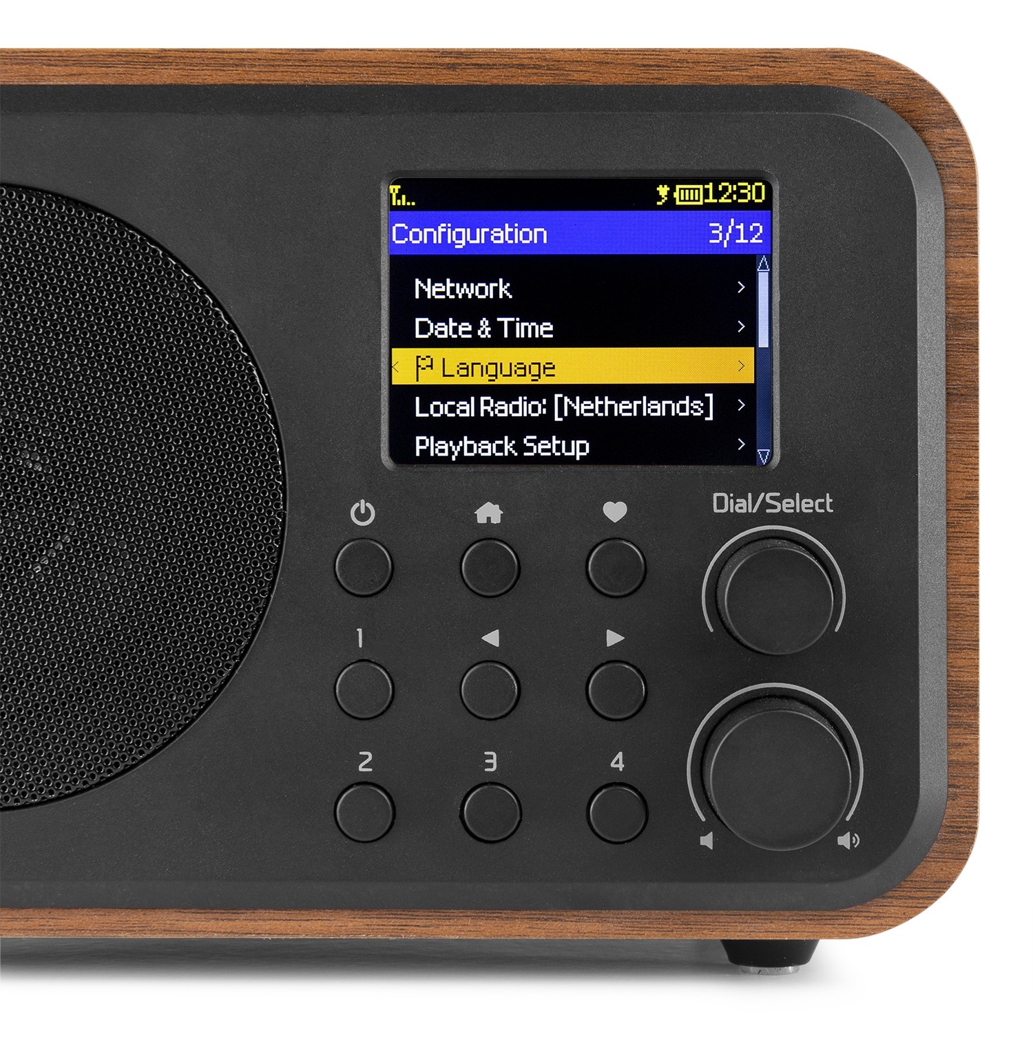 Venezia, WiFi Internet radio, batteria integrata, display a colori, colore noce