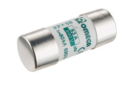 Fusibile cilindrico 22X58 80A AM 500V