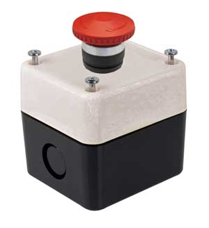 Pulsante D'Emergenza Con Scatola AP/INT/4545-C