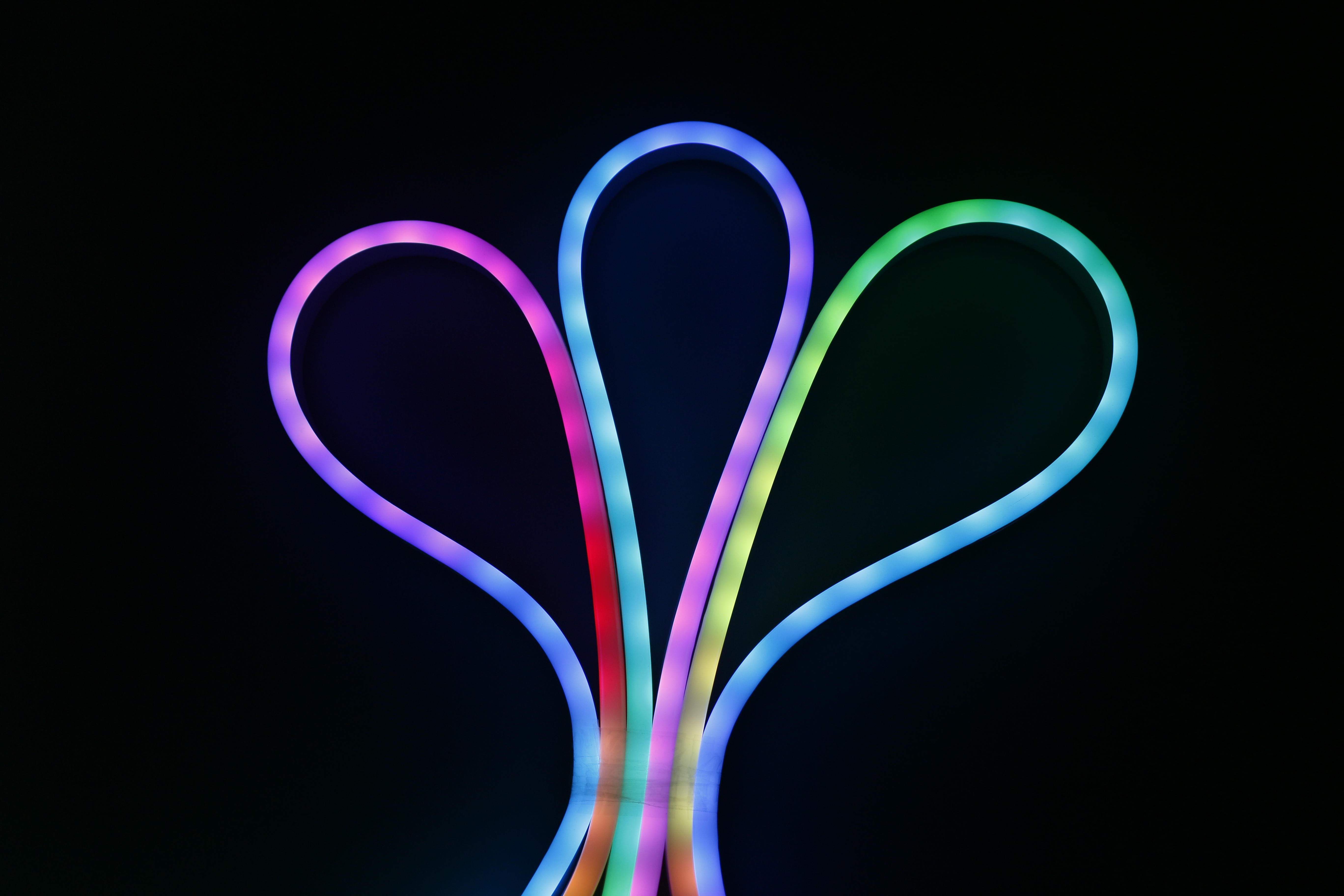 Neon strip LED 5mt 5050 RGBW 4,8W/m con telecomando e alimentatore
