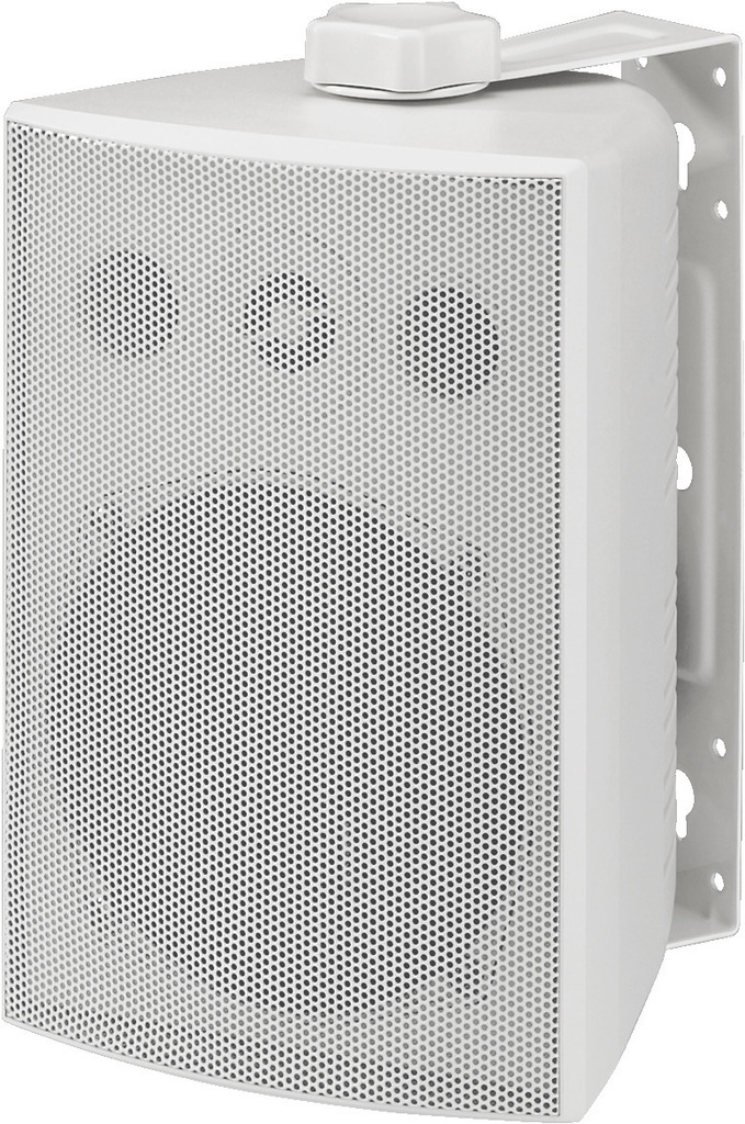 ESP-250/WS - Cassa a parete PA