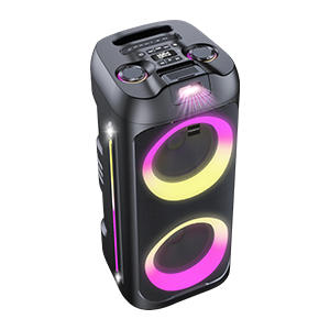Party speaker