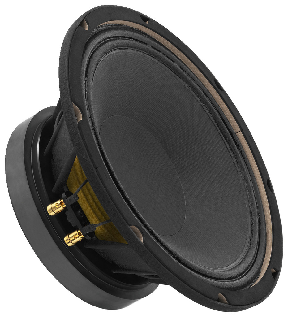SP-10/250PRO - Altoparlante per Bassi PA