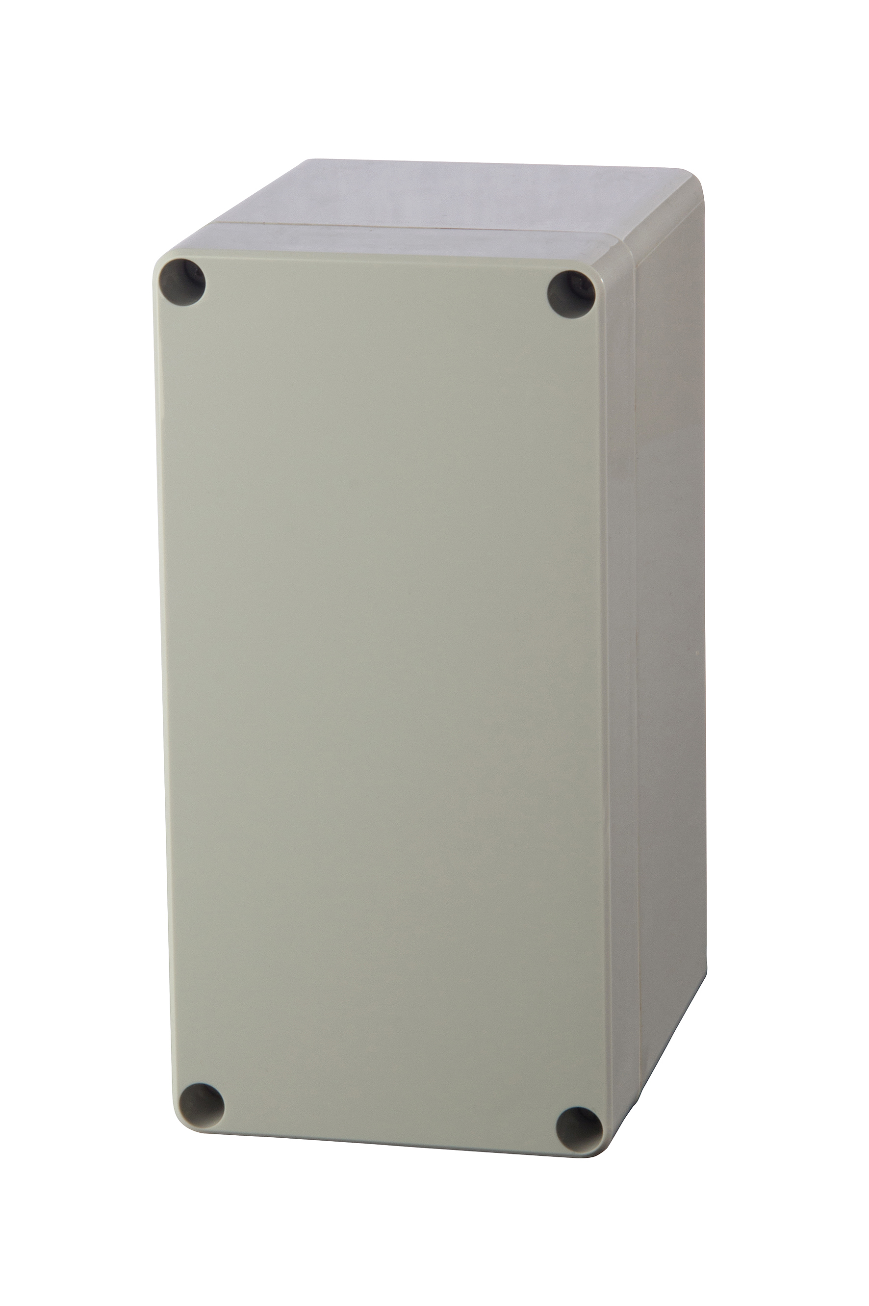 EURONORD, PC 081609 dimensioni 80X160X85, FIBOX