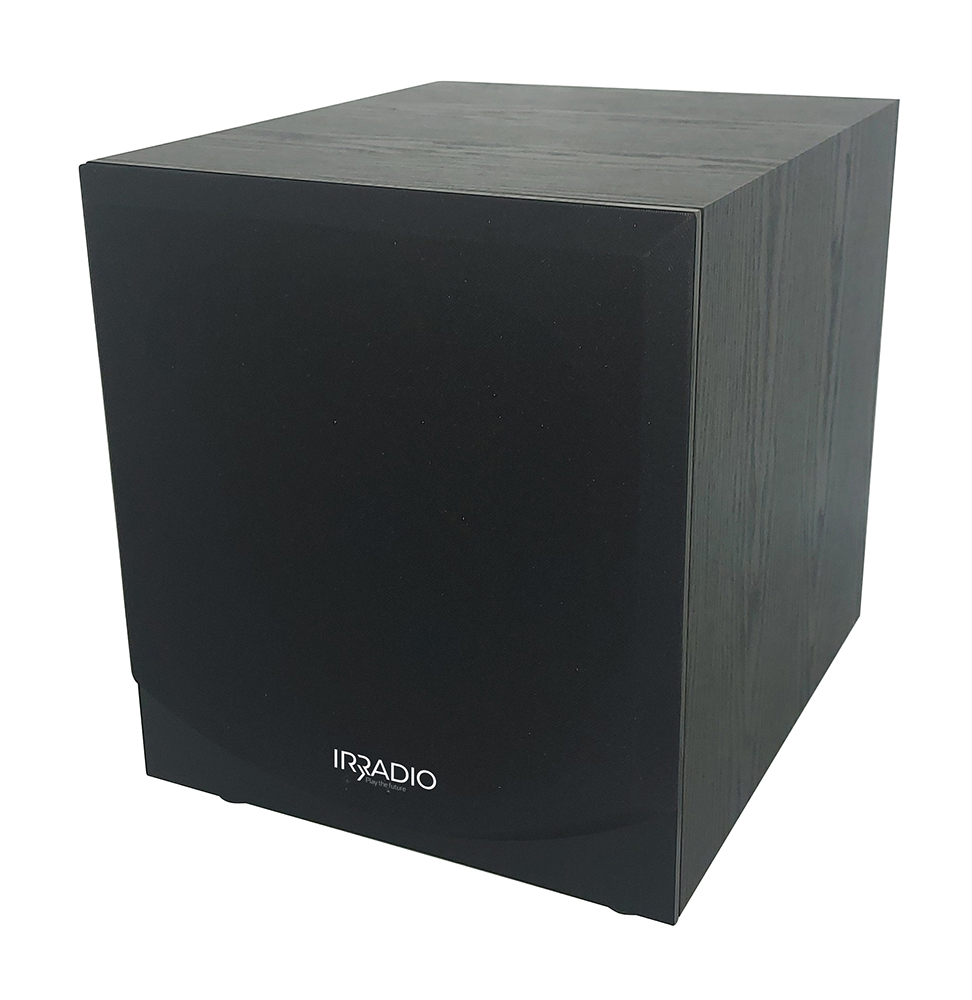 Subwoofer amplificato da 100W IRDP-SUB100 PRO con woofer da 10"