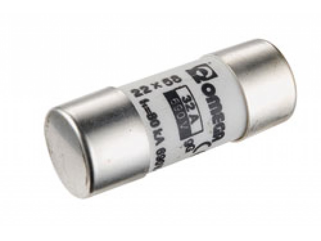 Fusibile cilindrico 22X58 100A GI/GG 500V