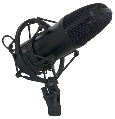 Microfono professionale a condensatore da studio di registazione PDS-M02 173.400