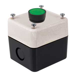Pulsante Piatto A Rilascio Con Scatola AP/INT/4444-C