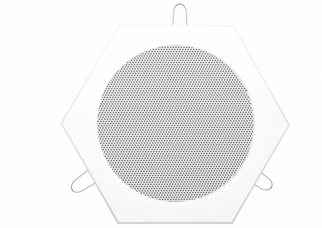 WDE-130-N - Altoparlante da soffitto in metallo