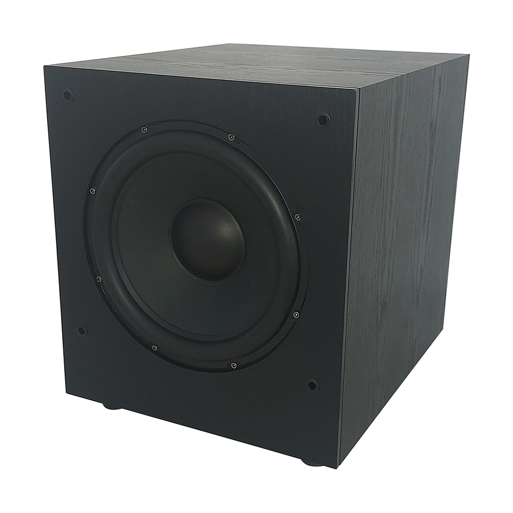 Subwoofer amplificato da 100W IRDP-SUB100 PRO con woofer da 10"