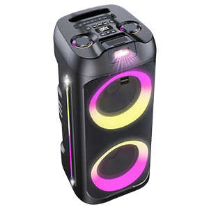 Audio consumer