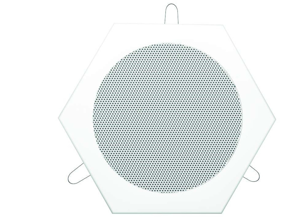 WDE-130-10 - Altoparlante da soffitto in metallo