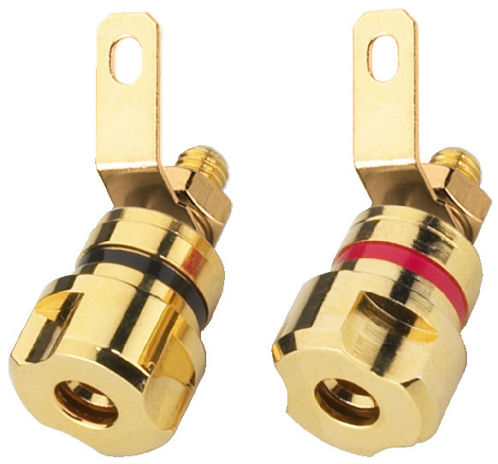 BP-405G - Connettore a vite LS