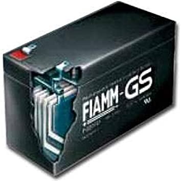 Batteria al piombo ricaricabile 12V 25Ah terminale m8 FIAMM