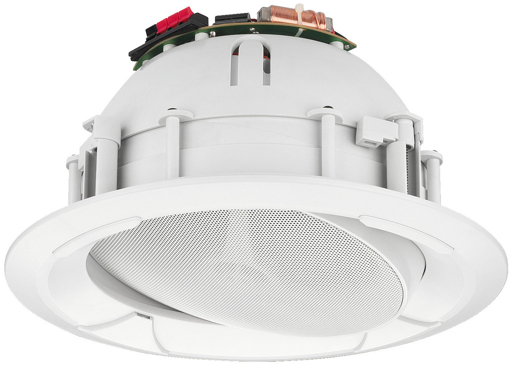 EDL-65TW - Cassa acustica PA