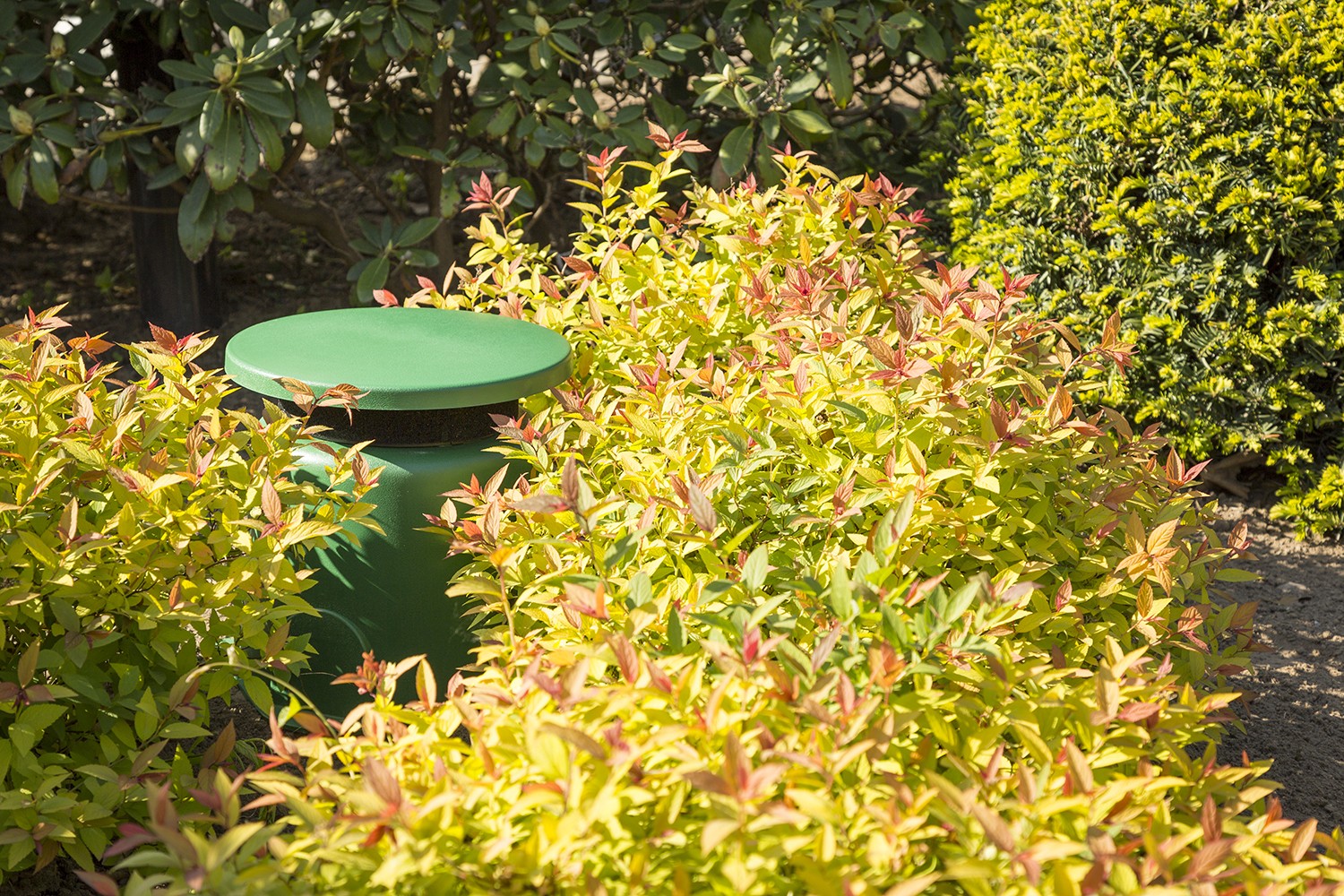 Diffusore sonoro da giardino IPX5 30W 100V, colore verde, mod. GS530