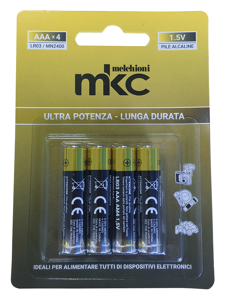 Batterie Alcaline